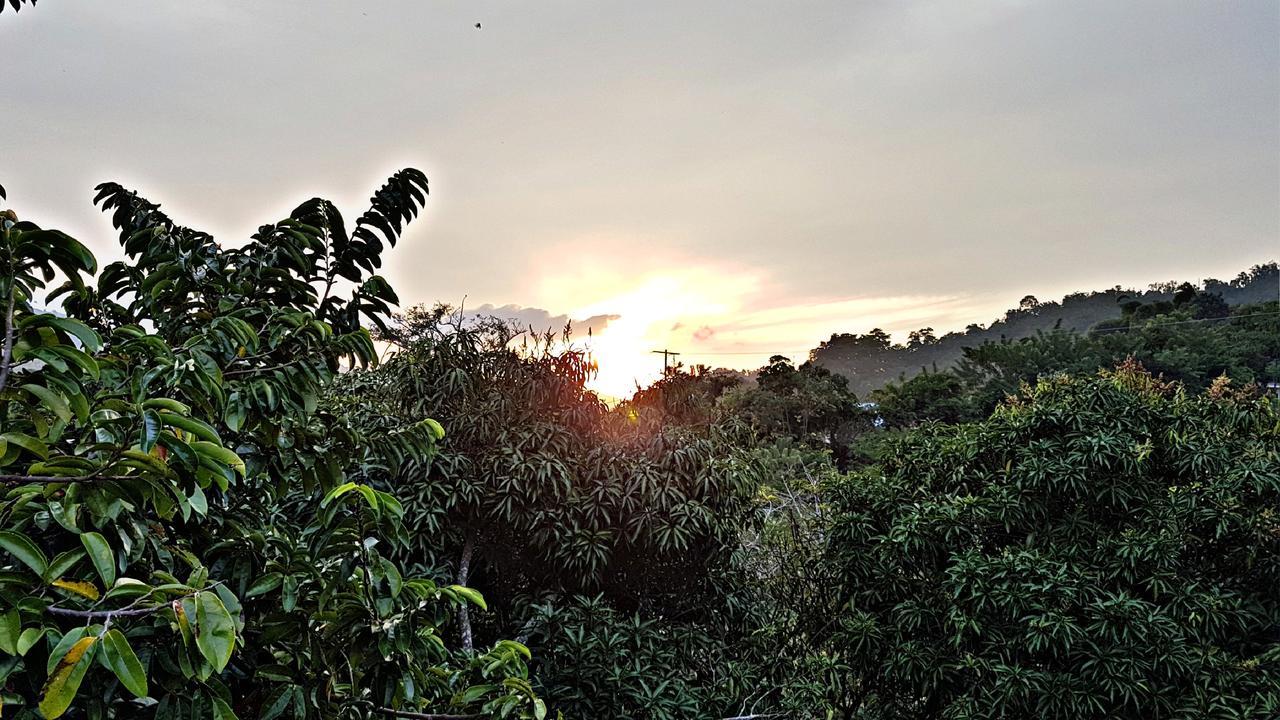 Akainoie Hotel Minca Bagian luar foto