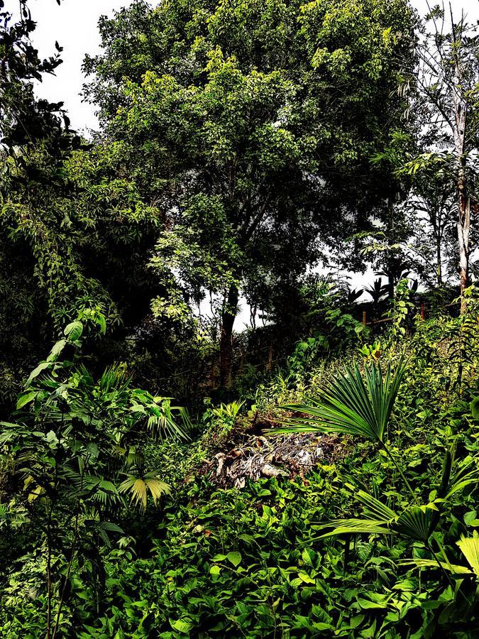 Akainoie Hotel Minca Bagian luar foto