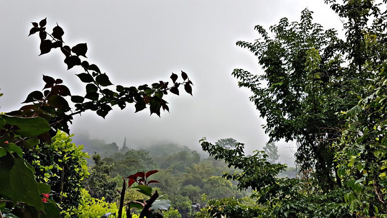 Akainoie Hotel Minca Bagian luar foto